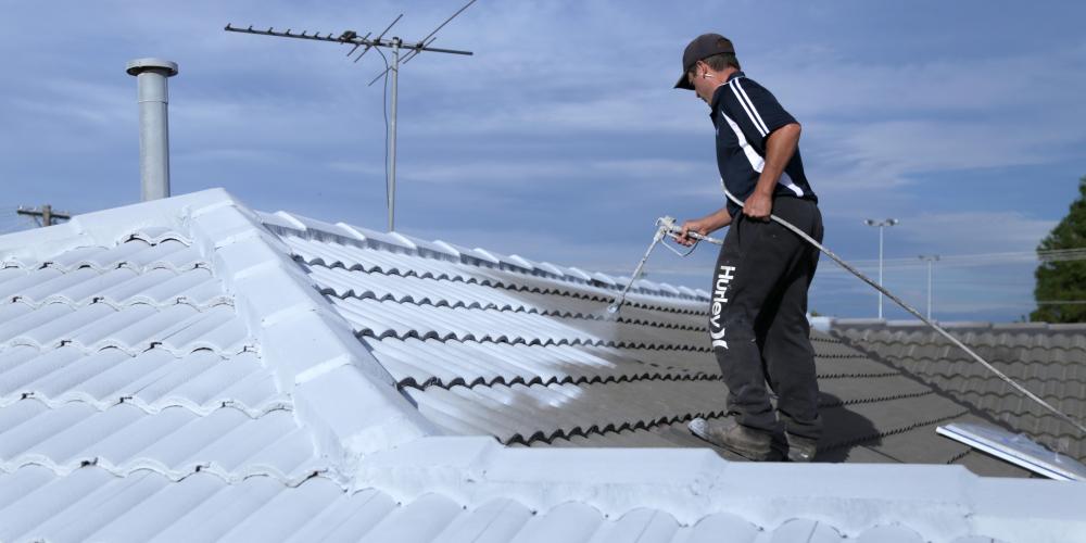 Roof Painting